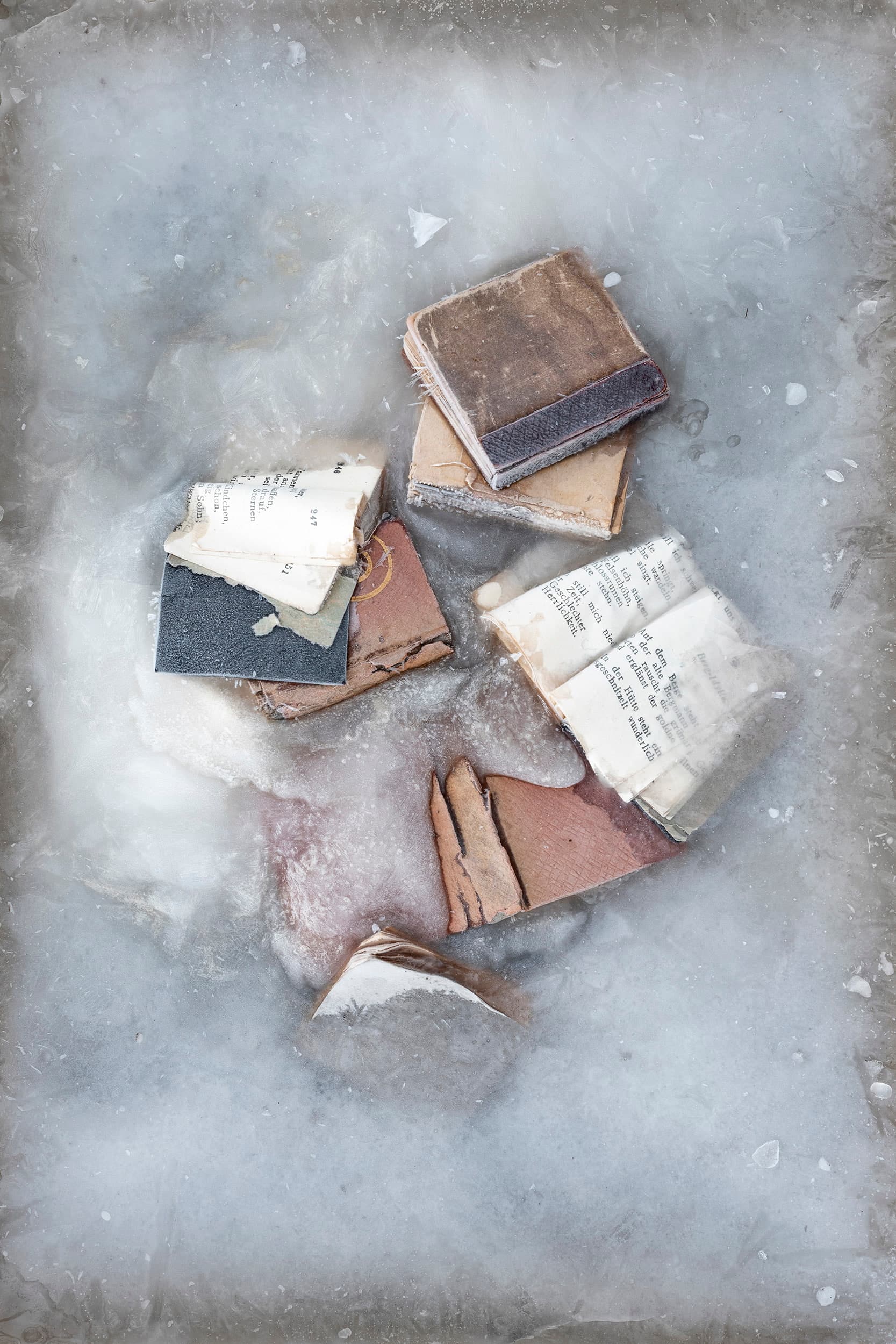 Books 2019, 75 × 50 cm