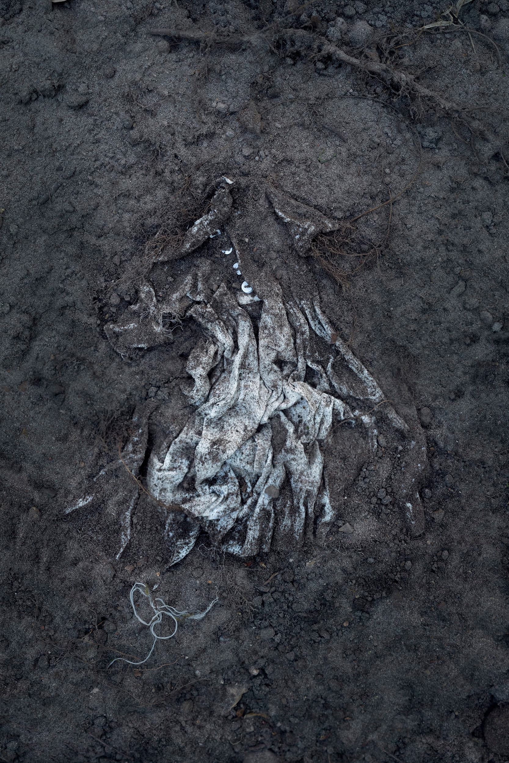 Dress 2019, 75 × 50 cm