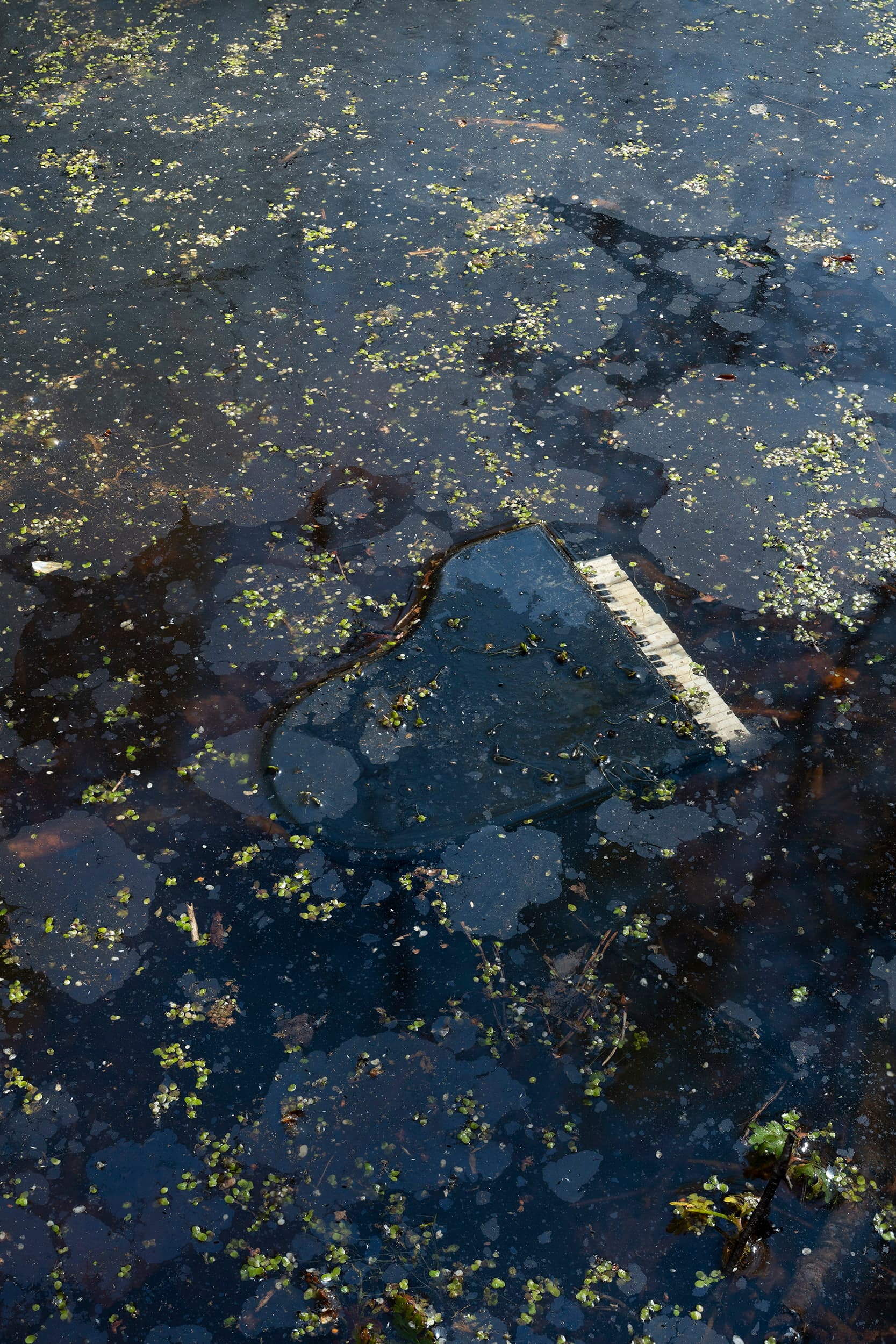 Piano 2019, 75 × 50 cm