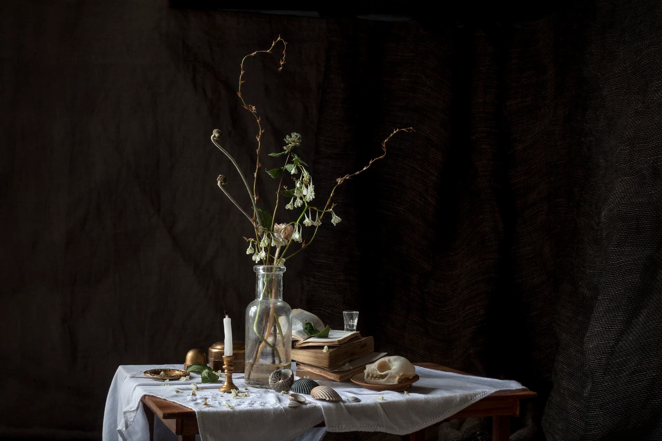 Vanitas IV 2017, 100 × 66 cm / 45 × 30 cm