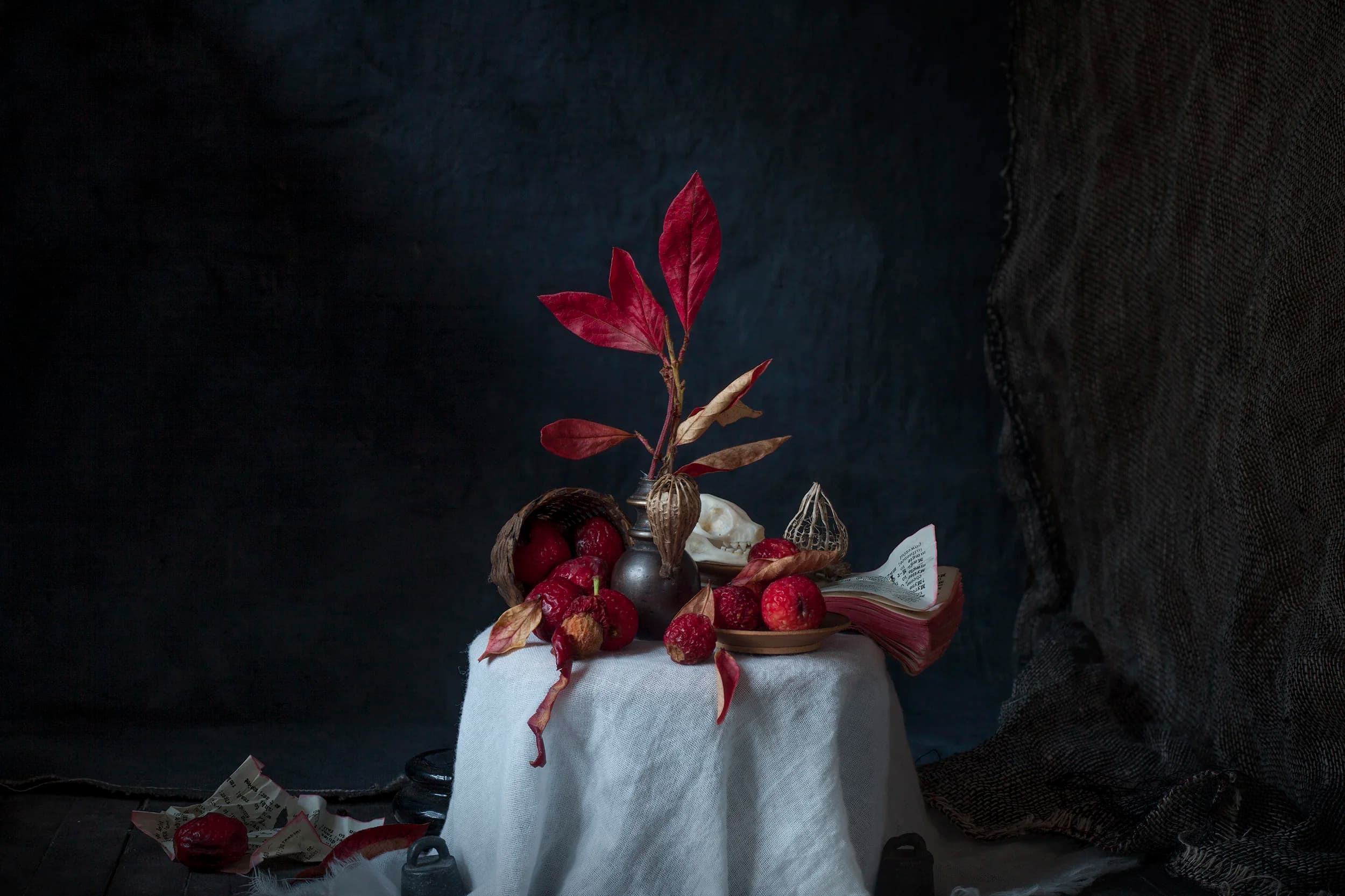 Vanitas X 2017, 100 × 66 cm / 45 × 30 cm