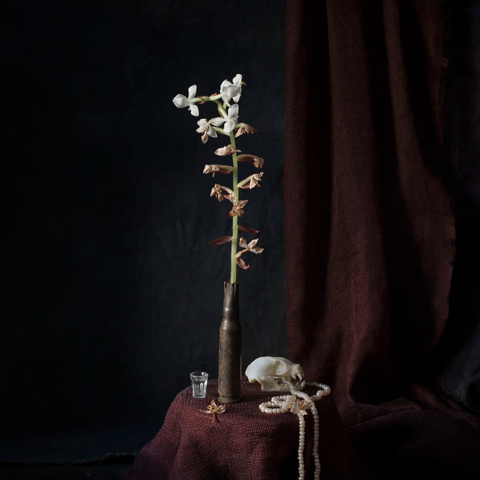 Vanitas XII 2017, 66 × 66 cm / 30 × 30 cm
