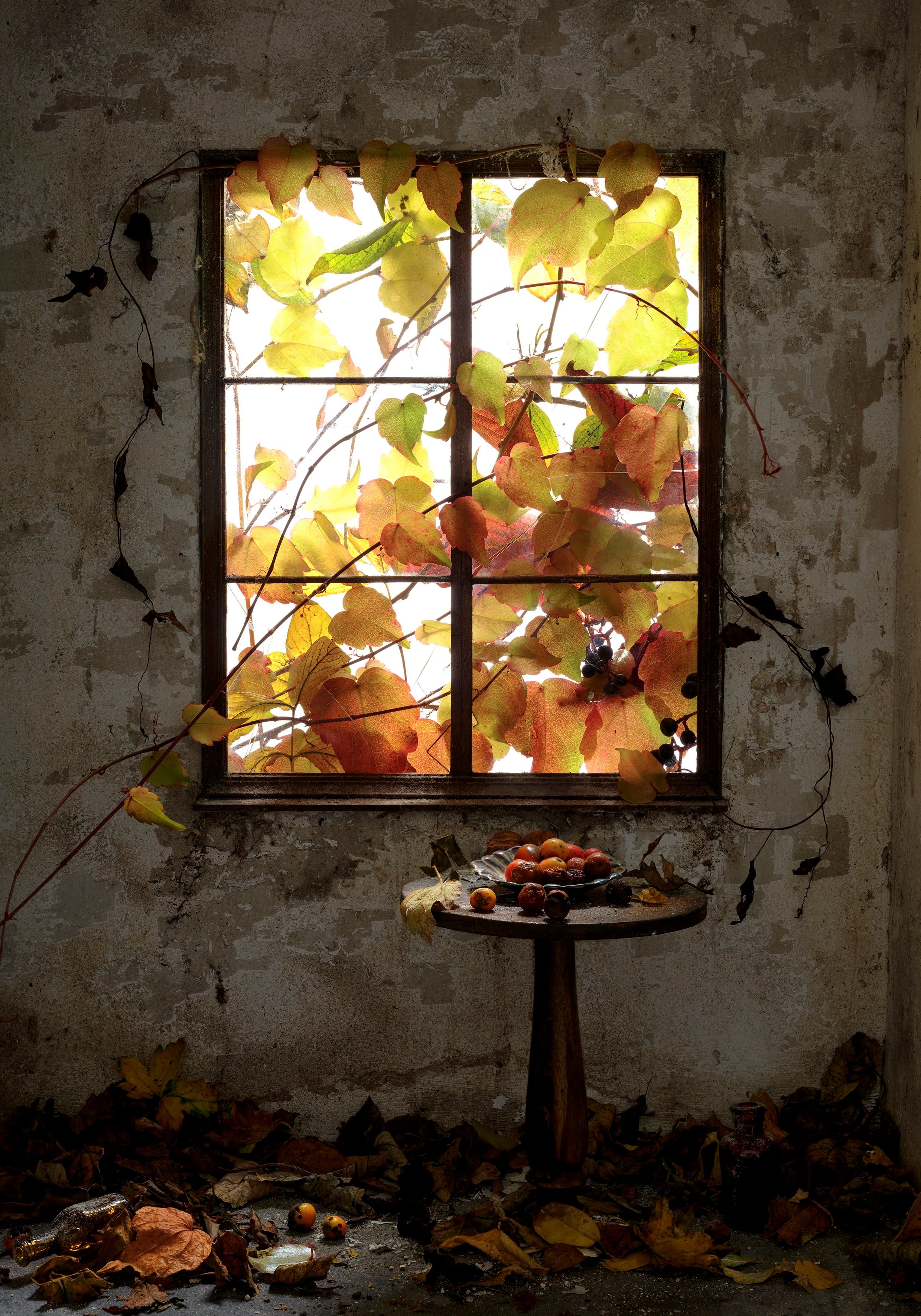 Window 6 (Apples) 2021