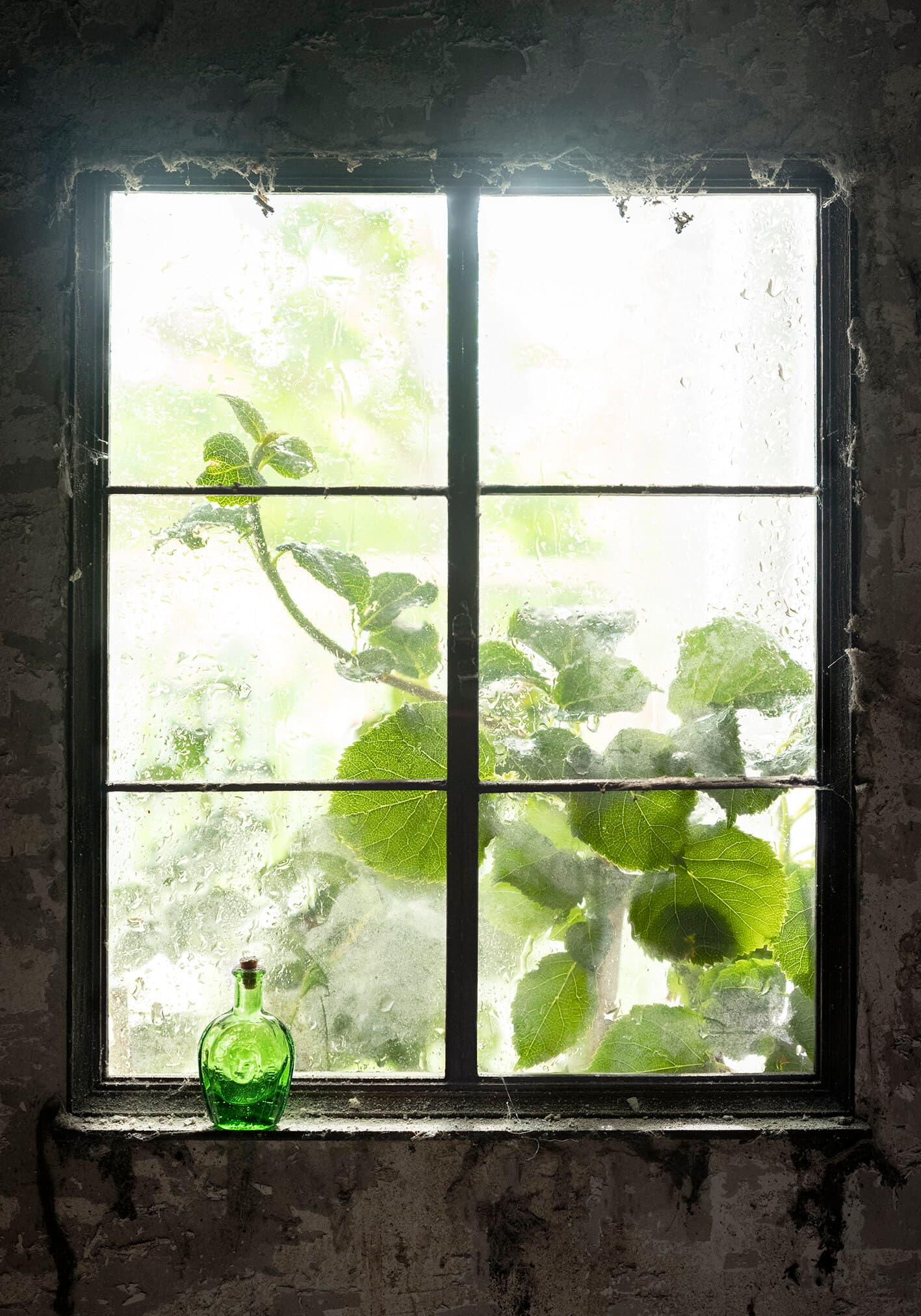 Window 3 (Bottle) 2020