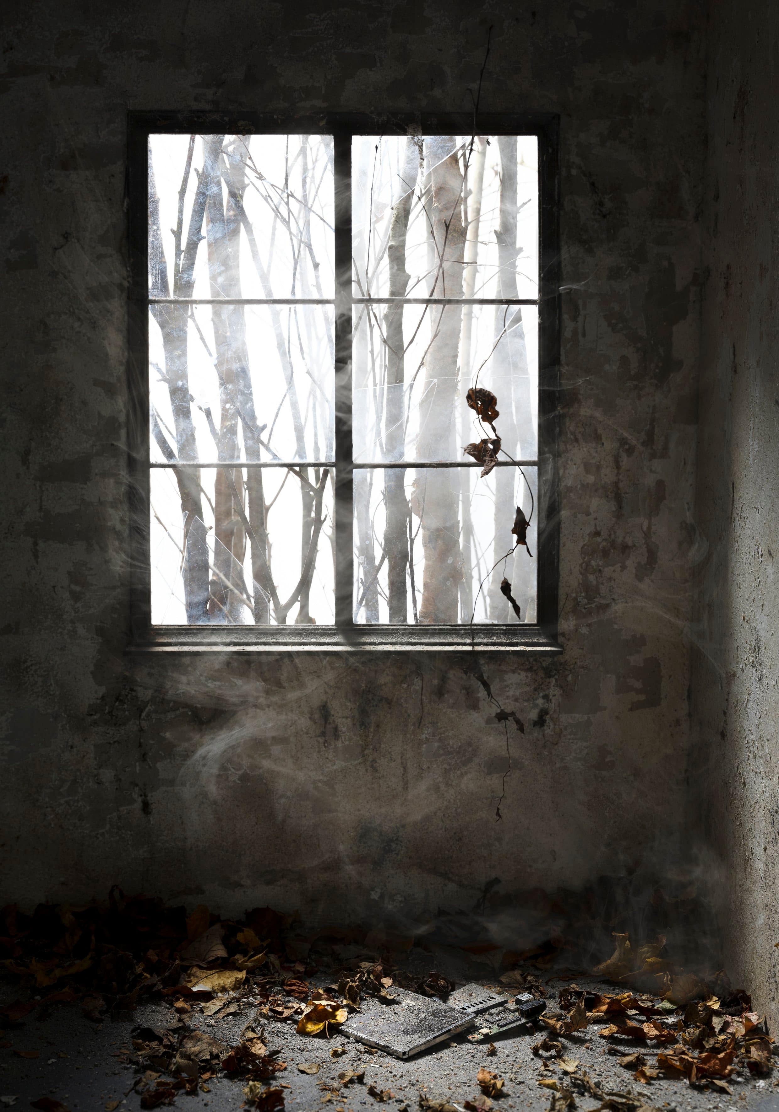 Window 7 (Computer) 2021