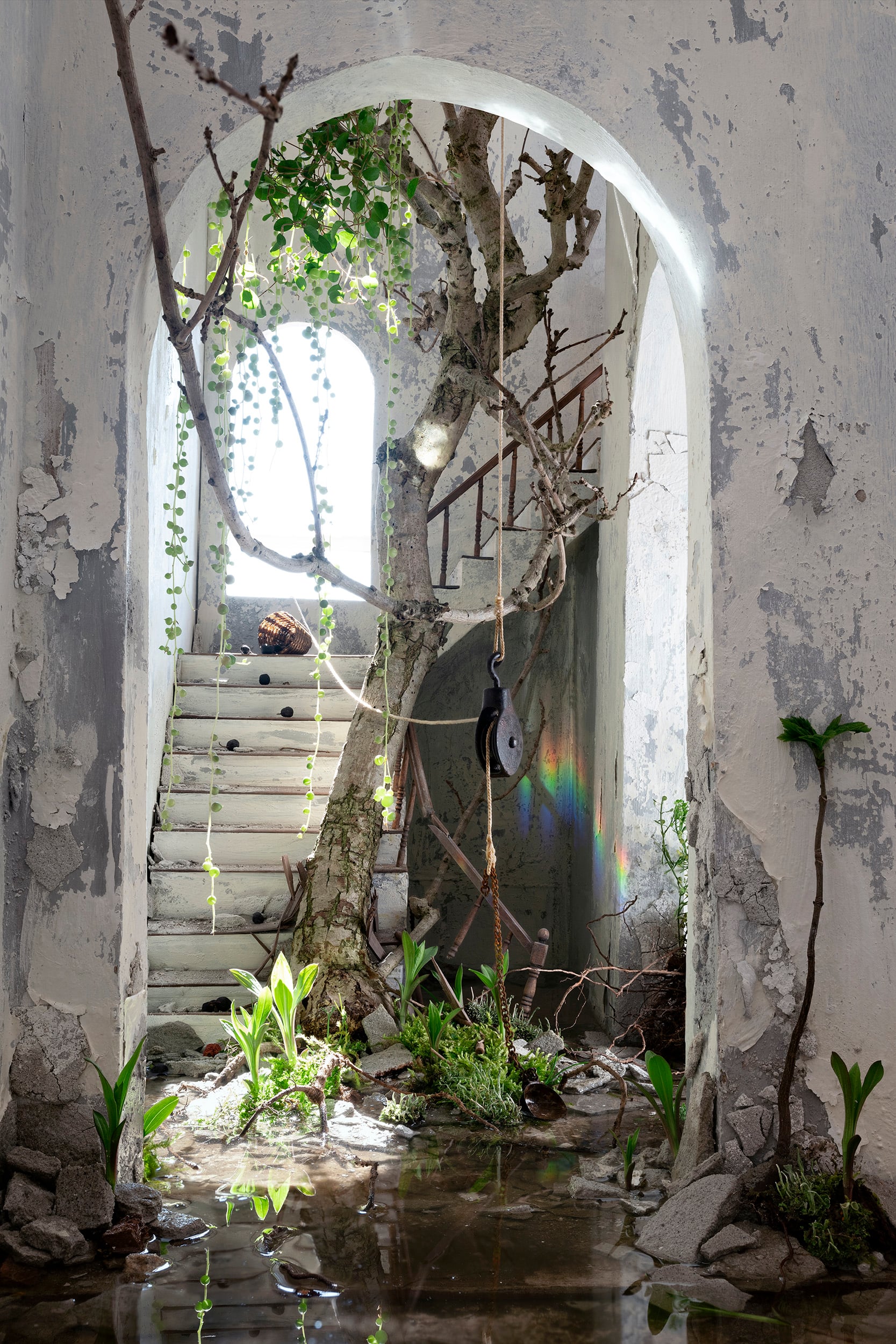 Elsewhere - The Tree