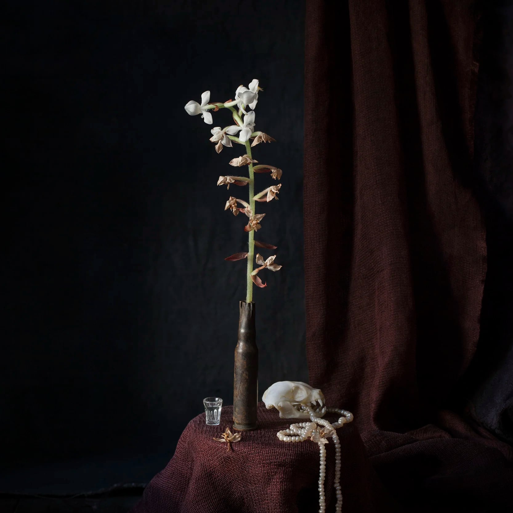 Vanitas XII 2017, 66 × 66 cm / 30 × 30 cm