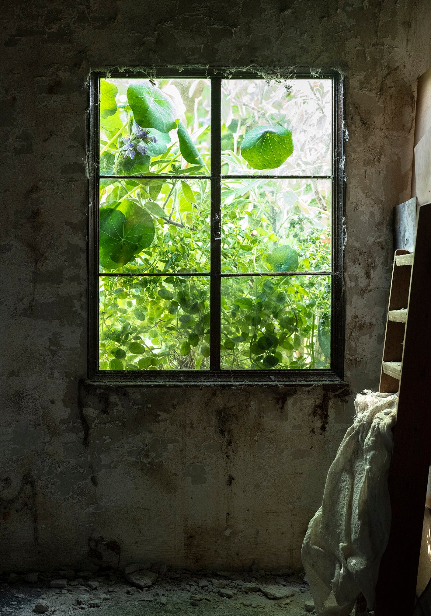 Window 2 (Ladder) 2020