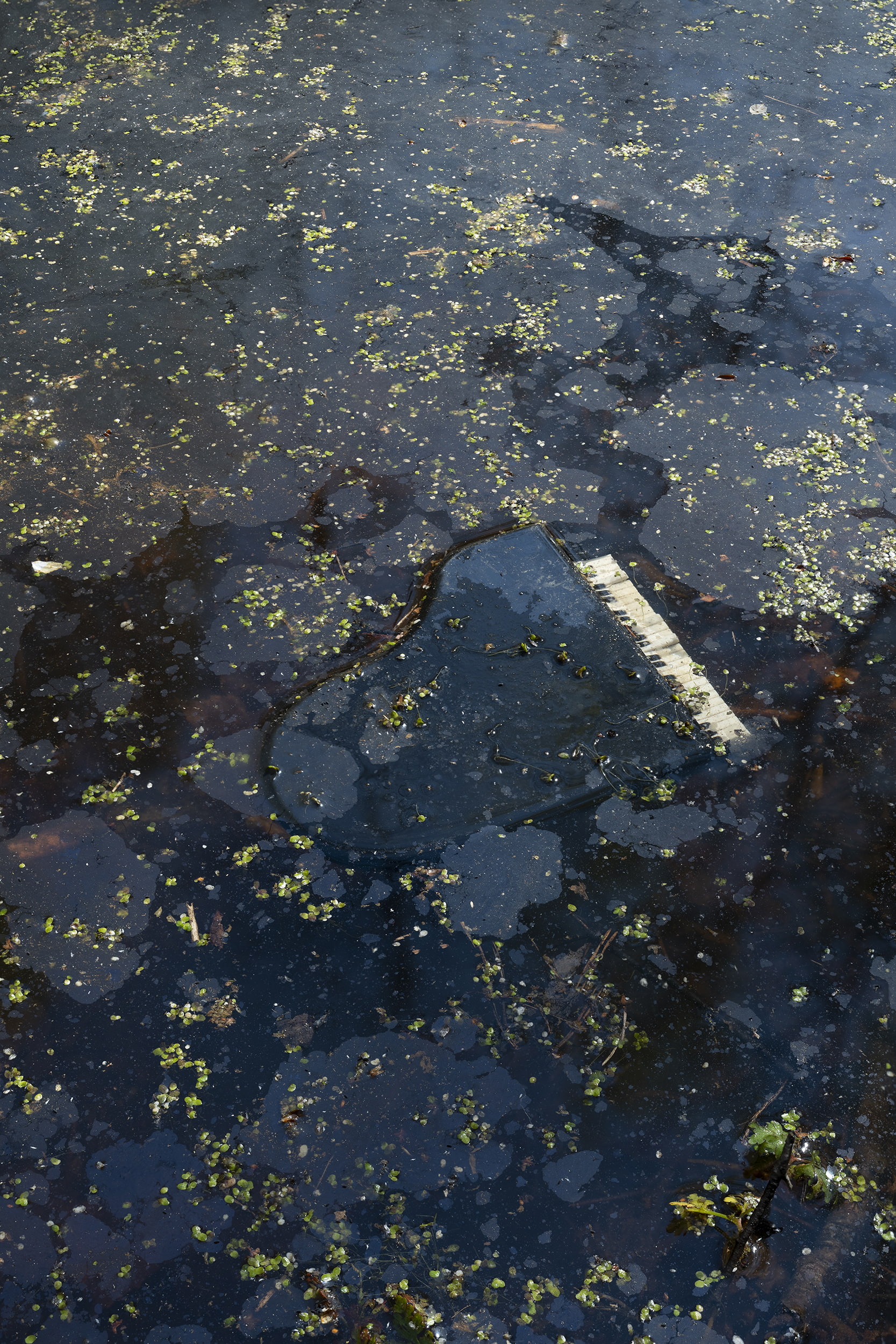 Piano 2019, 75 × 50 cm
